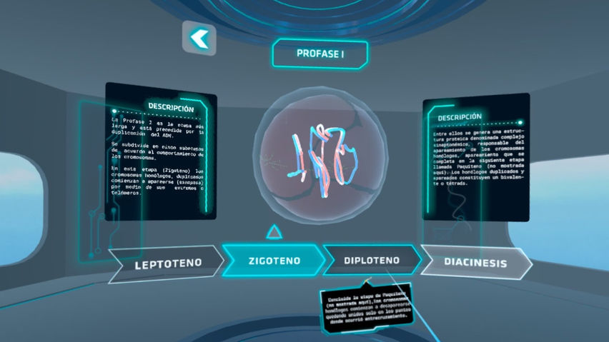 Meiosis VR.