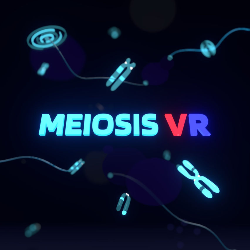 Meiosis VR.