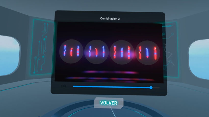 Meiosis VR.