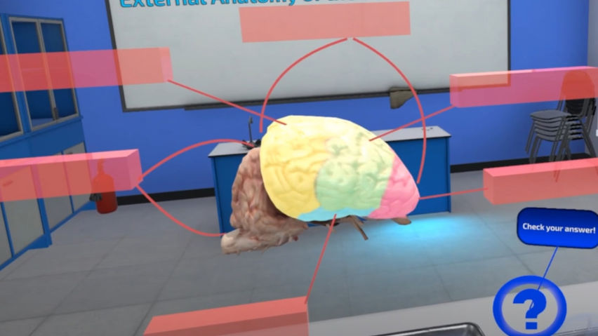  Dissection Simulator: Mammalian Organ Pack