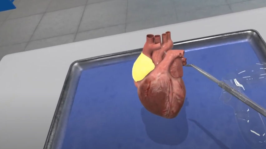  Dissection Simulator: Mammalian Organ Pack