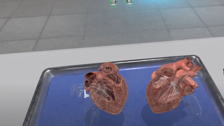  Dissection Simulator: Mammalian Organ Pack