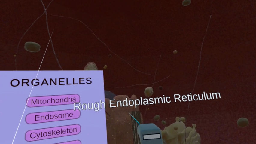 The VR Cell