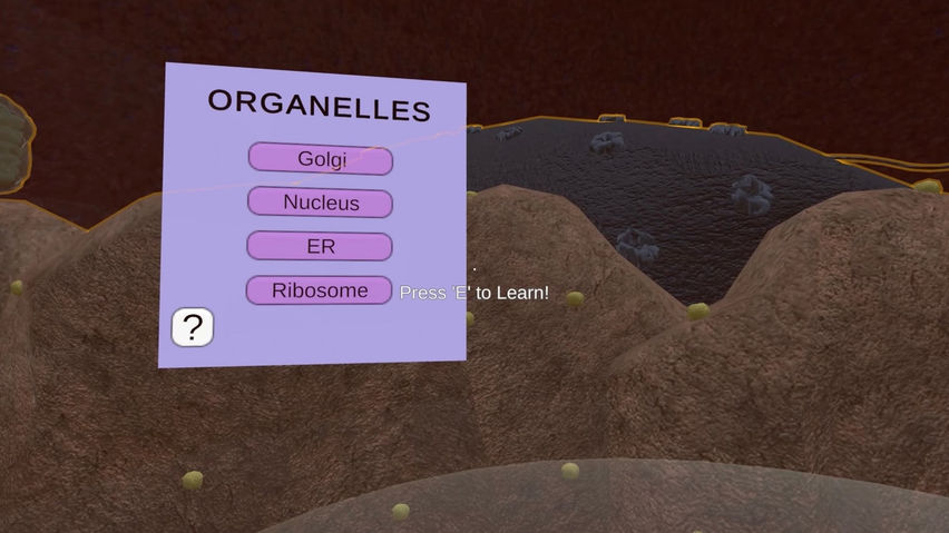 The VR Cell