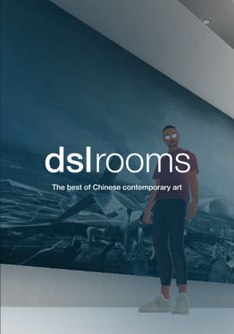 DSLrooms