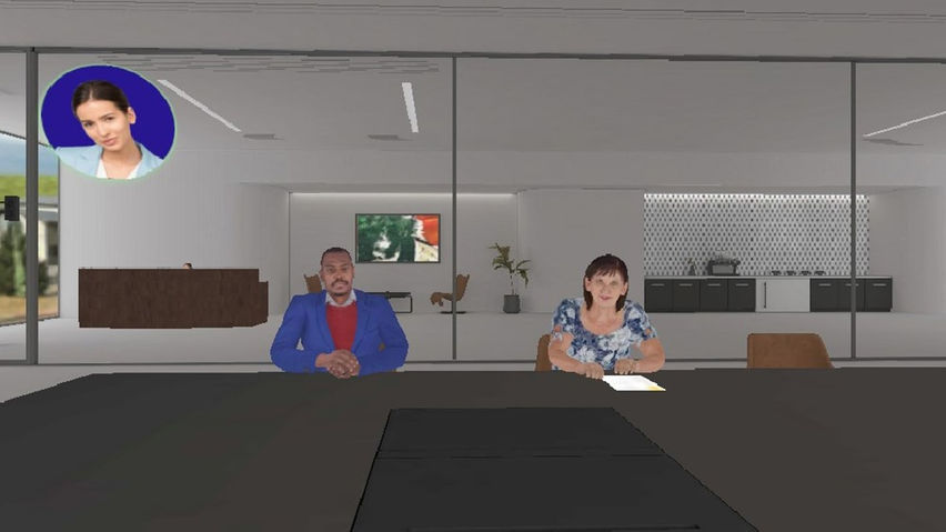VR Interview Skills