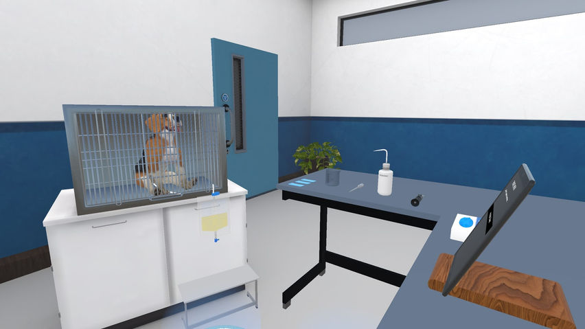 VetSkill Companion Animal OSCE Practise Stations