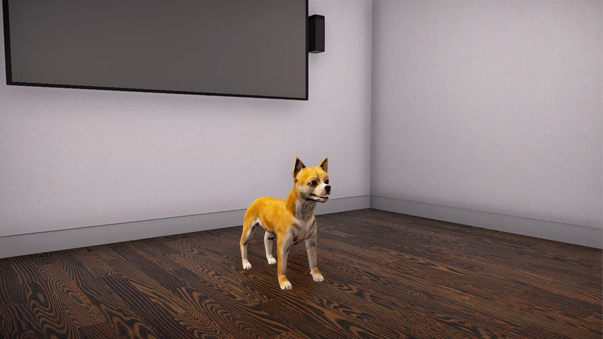 VBIDogExposure