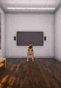 VBIDogExposure