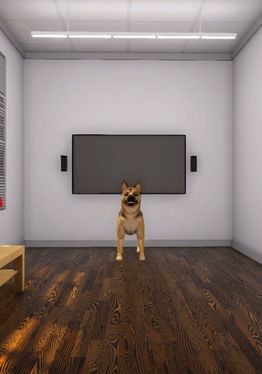 VBIDogExposure