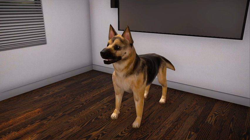 VBIDogExposure