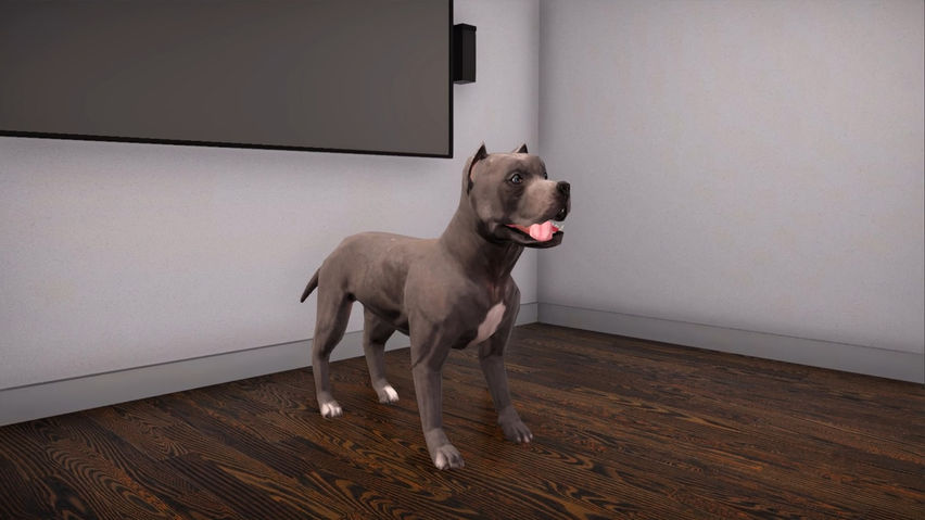 VBIDogExposure