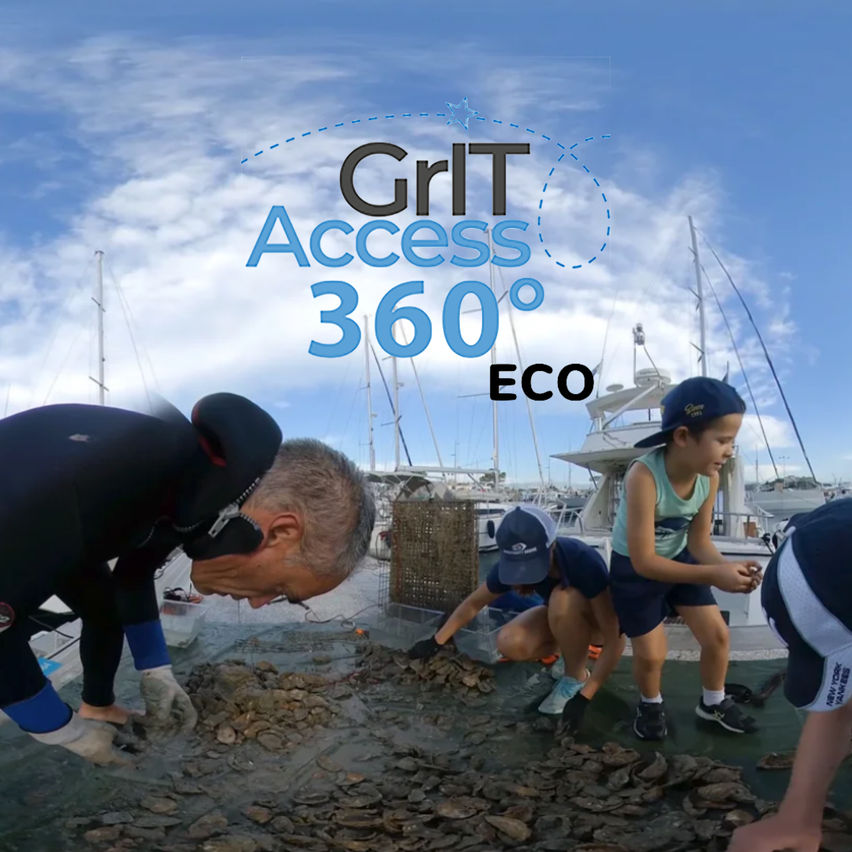 GritAccess360Eco