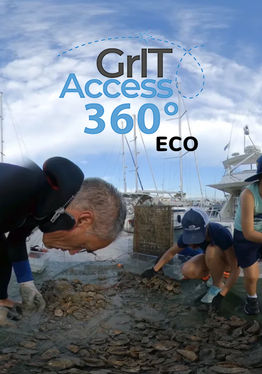 GritAccess360Eco