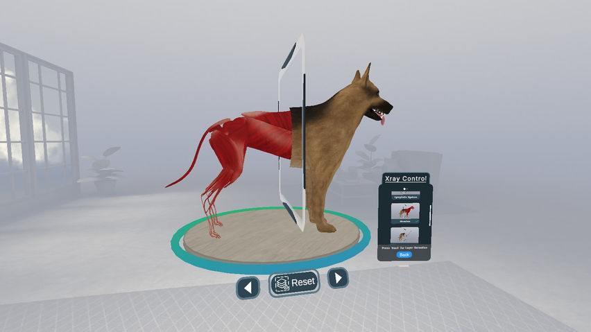 Veterinary Anatomy and Physiology