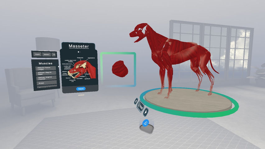 Veterinary Anatomy and Physiology