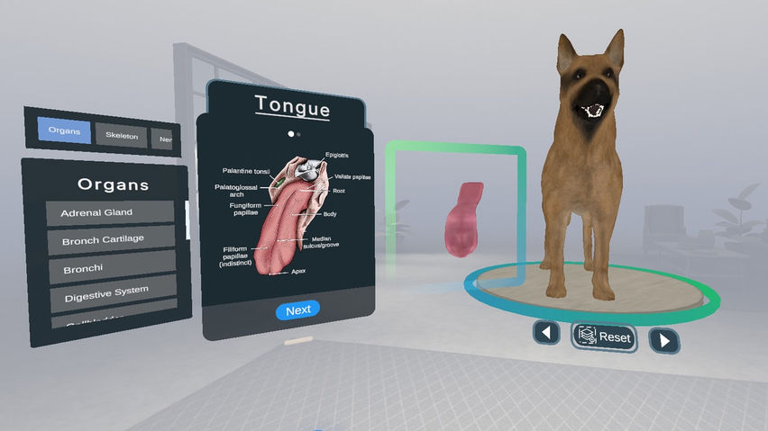Veterinary Anatomy and Physiology