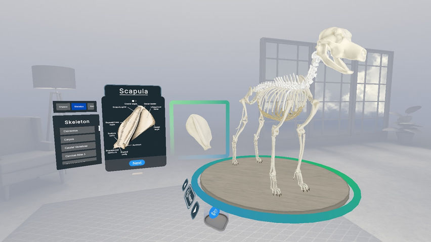 Veterinary Anatomy and Physiology
