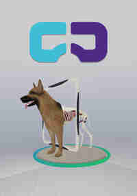 Veterinary Anatomy and Physiology