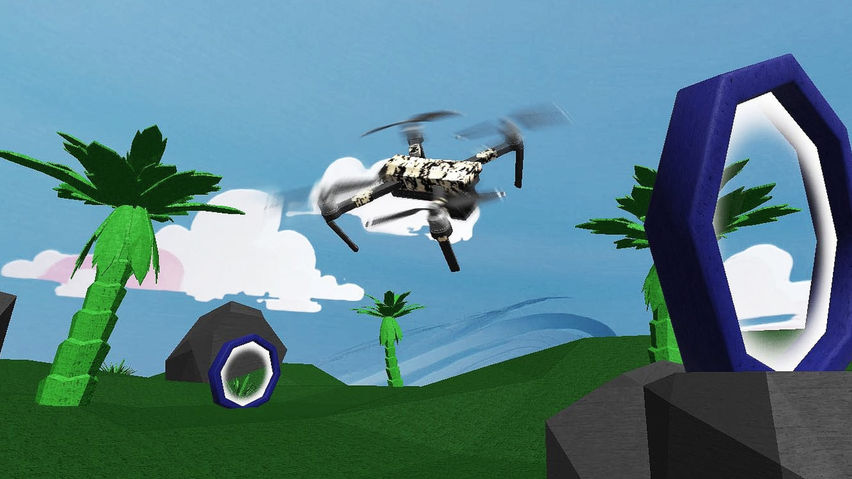 Drone Flight Simulator