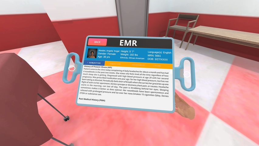 Immersive Standardized Patient Experiences
