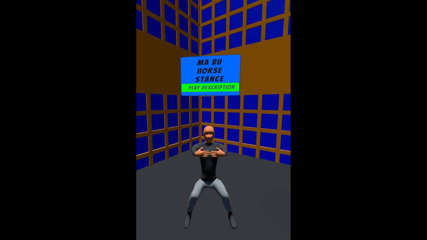 Virtual Tai Chi