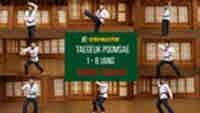 Taegeuk Poomsae  ( 1 - 8 Jang )  Budle Package