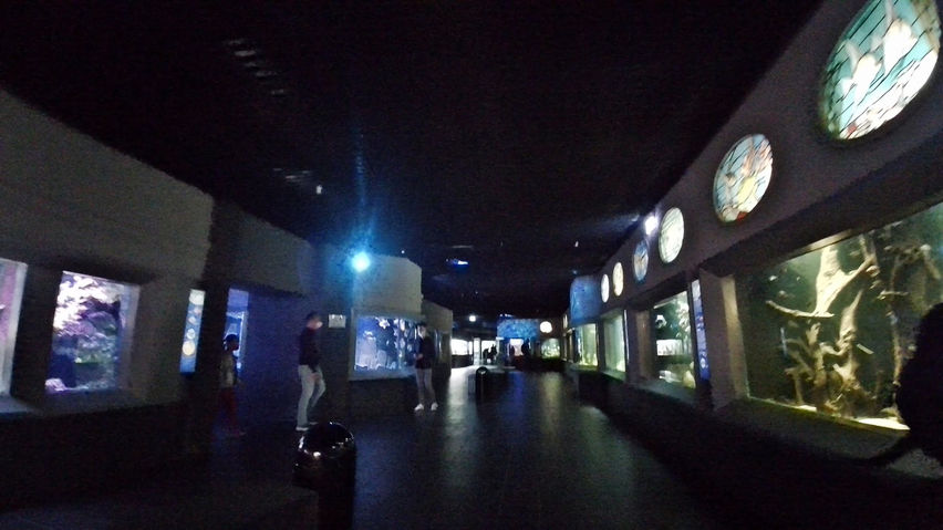 Aquariums Berlin