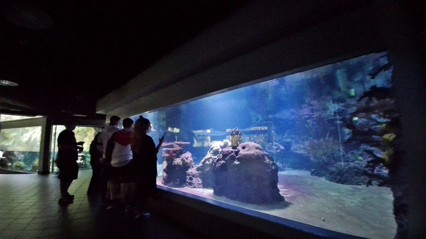Aquariums Berlin