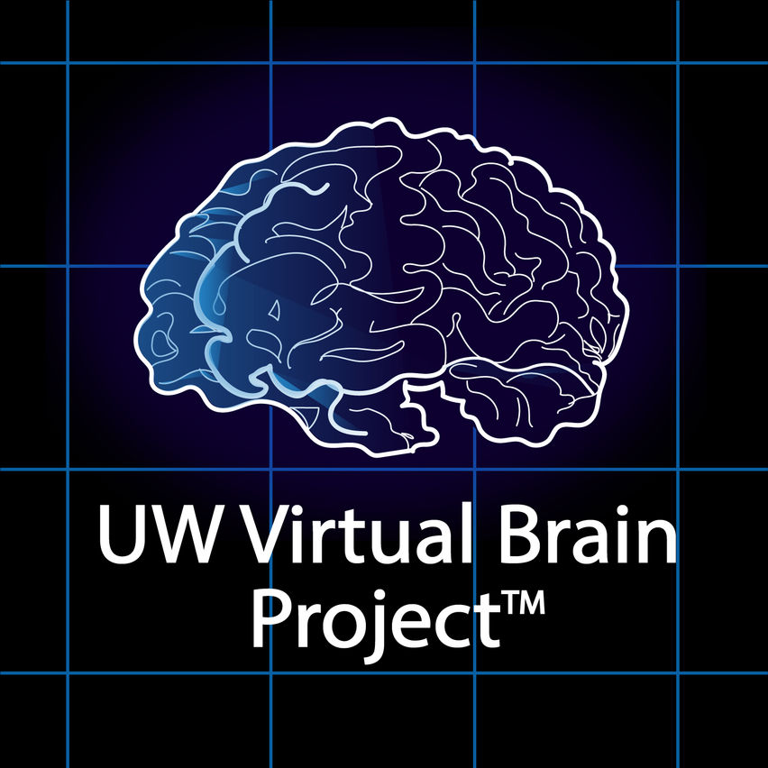 UW Virtual Brain Project