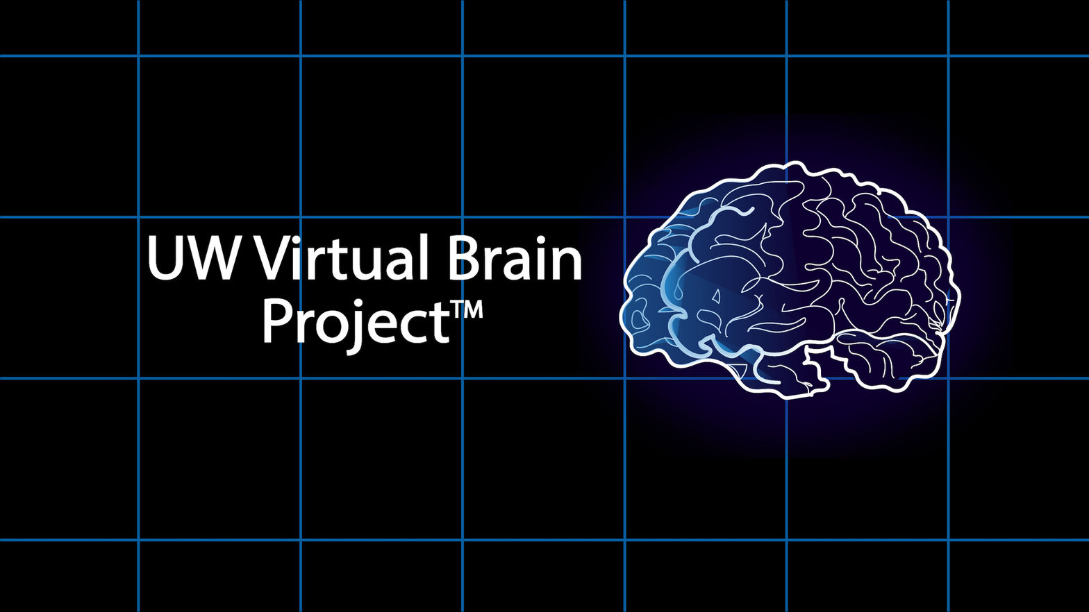 UW Virtual Brain Project