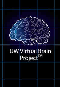 UW Virtual Brain Project
