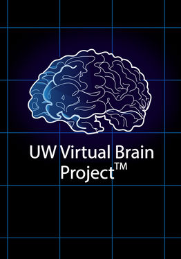 UW Virtual Brain Project