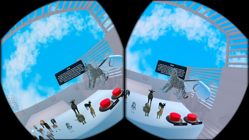 VR Zoo