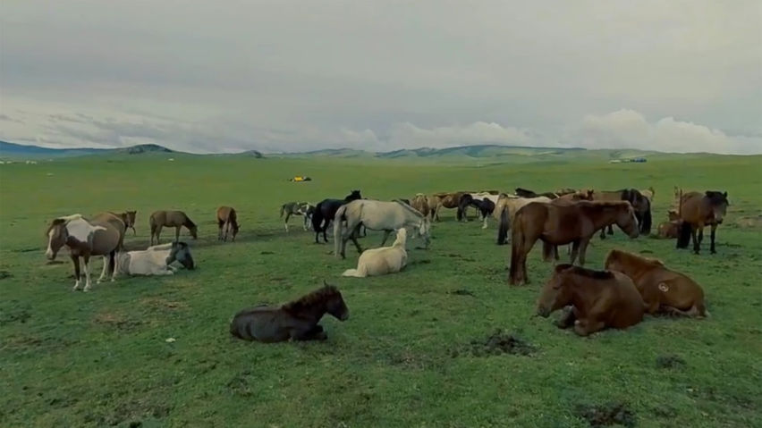 Mongolian Culture World Expo