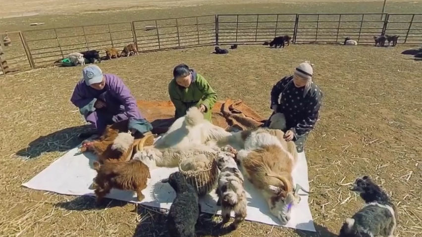 Mongolian Culture World Expo