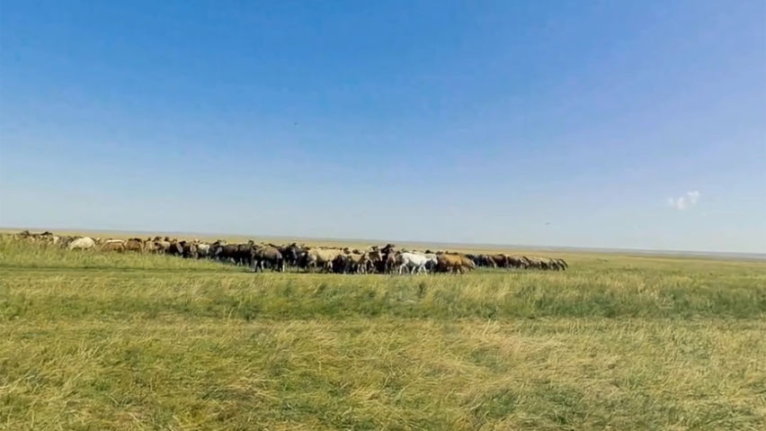 Mongolian Culture World Expo