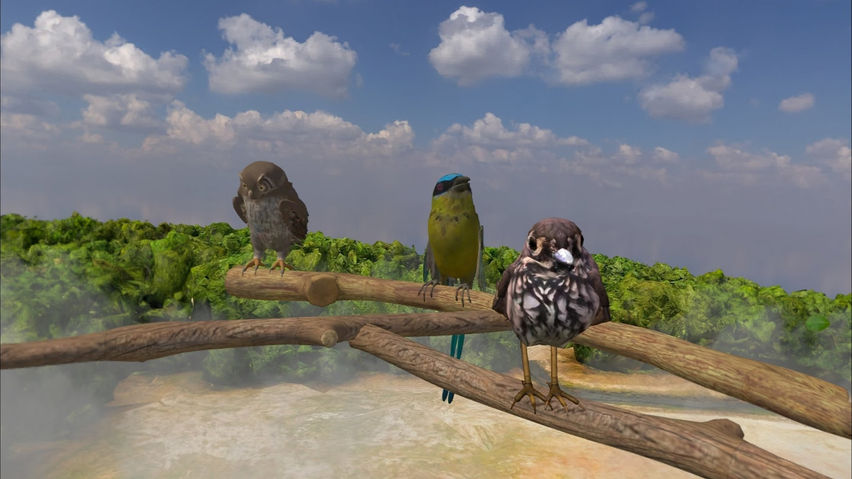 Birdwatching in El Reino Alado