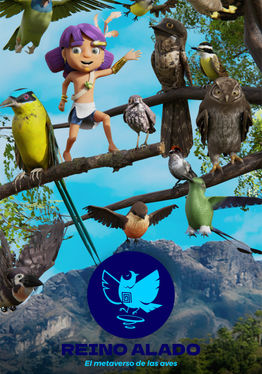 Birdwatching in El Reino Alado
