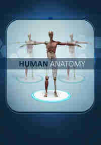 Human Anatomy