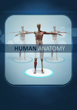 Human Anatomy
