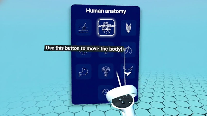 Human Anatomy