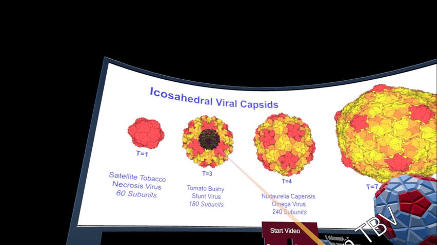 The Virus Lesson