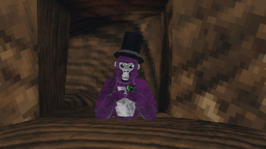 Gorilla