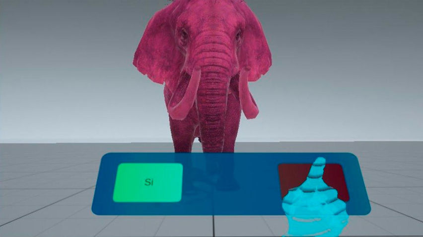 Virtuact XR