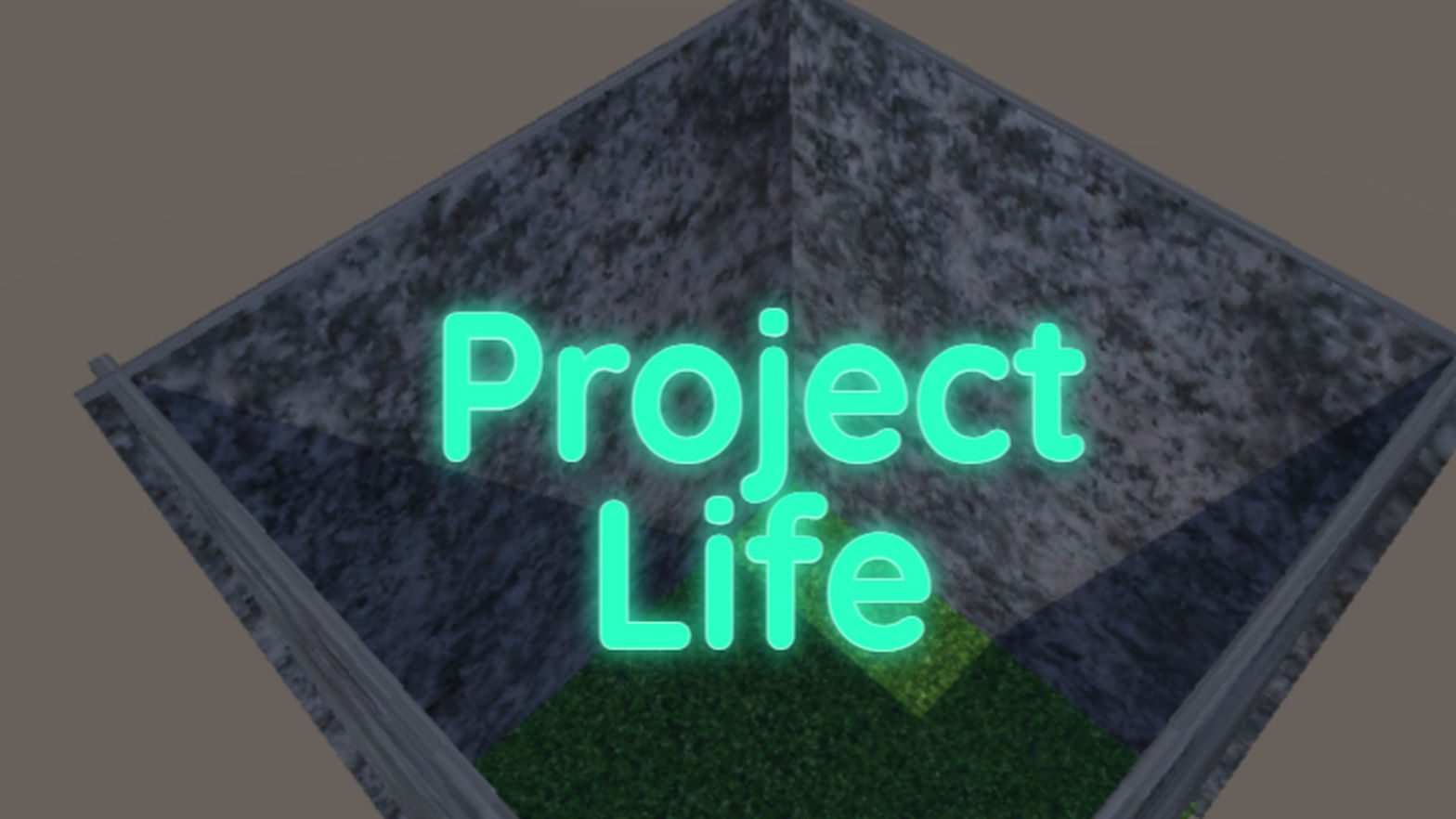 project  life