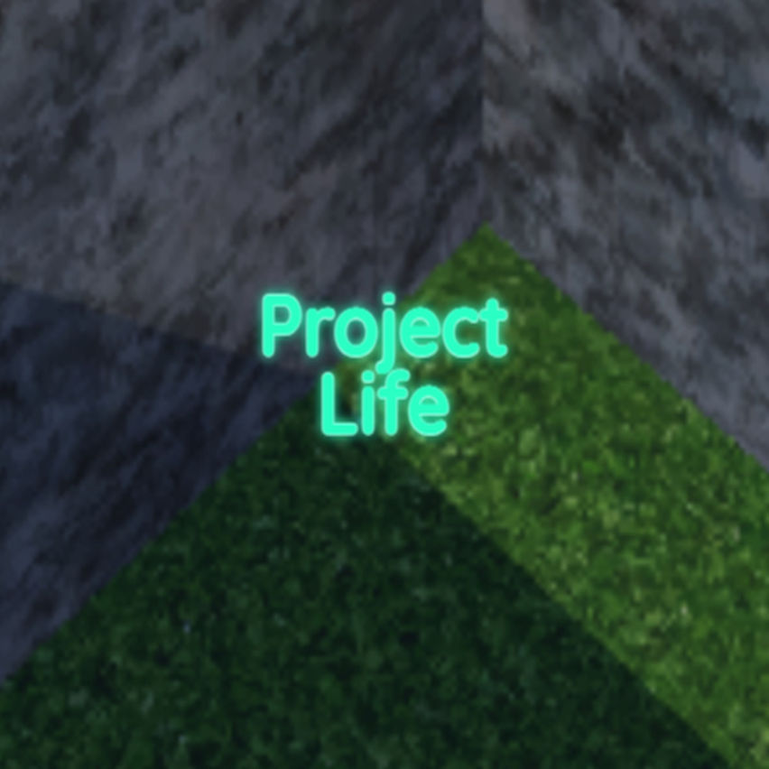 project  life