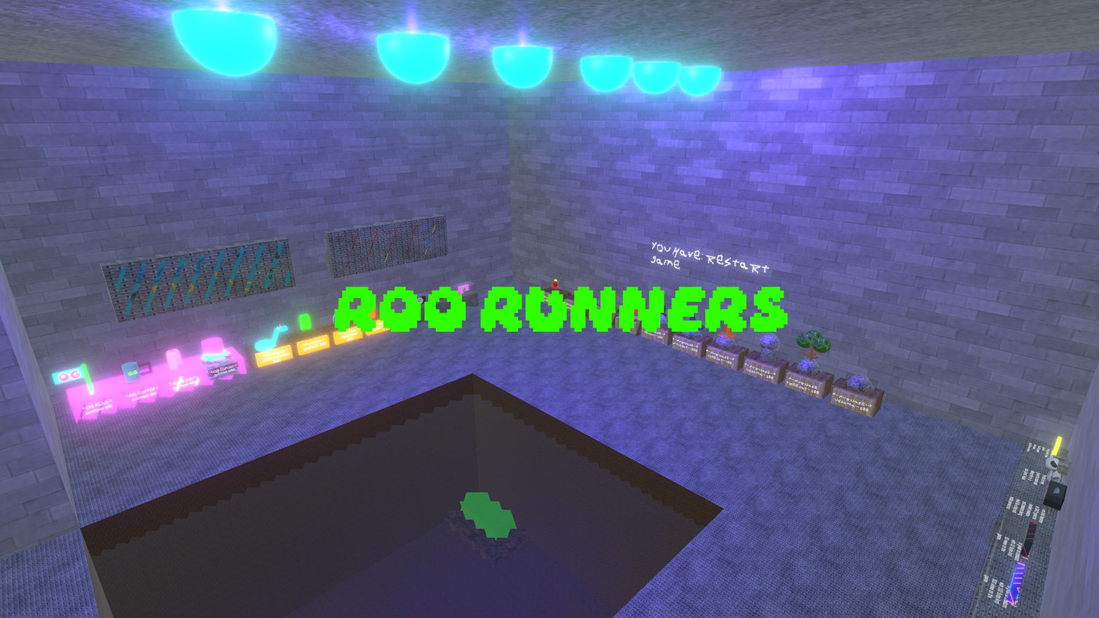 Roo Runner's