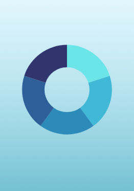 AirVis