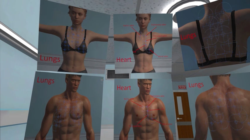 Auscultation simulator